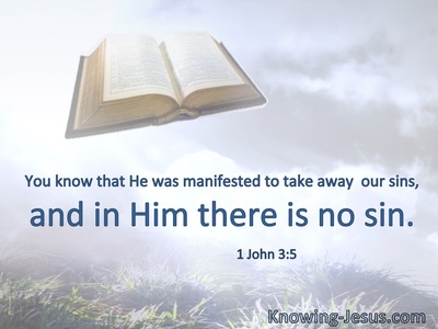 You know that He was manifested to take away  our sins, and in Him there is no sin.